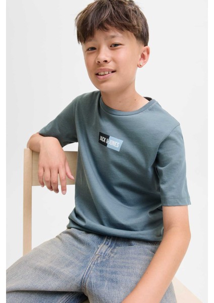 Jjpan Tee Ss Crew Neck Jn Grı Erkek Çocuk Kısa Kol T-Shirt