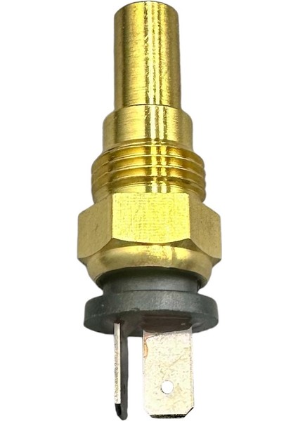 Hyundaı Müşür Hararet L300 98-04/H100 98-04/starex 98-06/ L200 98-05 (2 Pin)