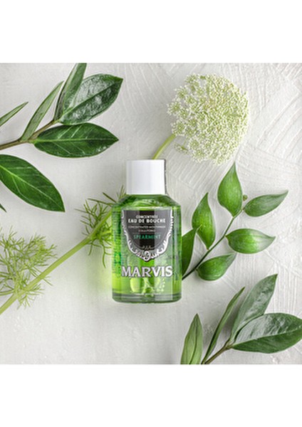 Spearmint Ağız Gargarası 120 ml Ferahlatıcı Etkiyle Alkol İçermeyen Formül fırsatları