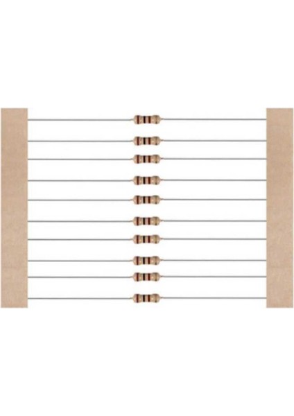 100R Direnç Paketi - 1/4 W - 10 Adet