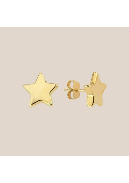 Bombeli Yıldız Altın Küpe