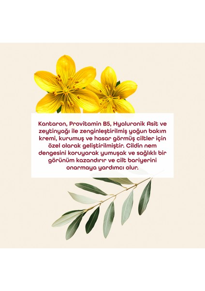 Onarıcı Yoğun Bakım Kremi modelleri
