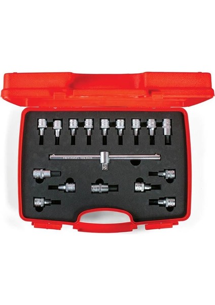 Izeltaş 1113 00 6017 1/2” Lokmalı Allen Uç ve Star (Torx)® Uç Takımı (17 Parça)