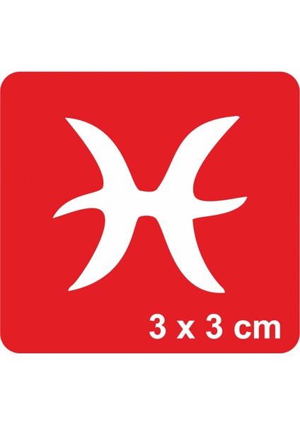 Balık Burcu Tattoo Geçici Dövme Şablonları Kına Kalıpları