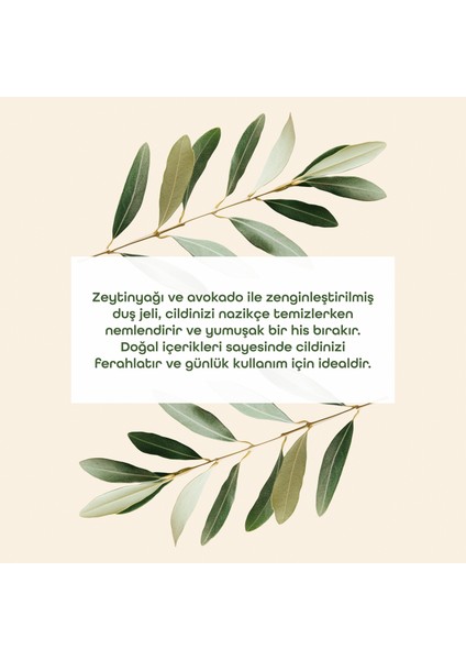 Zeytinyağlı Duş Jeli modelleri