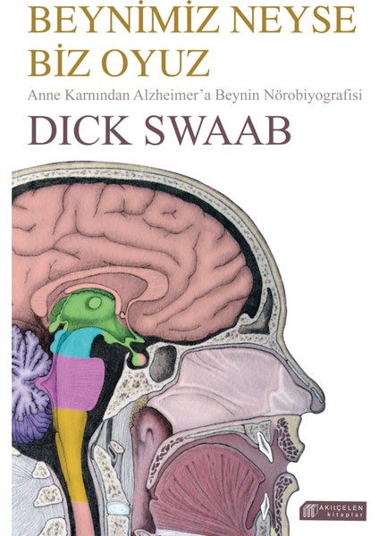 Beynimiz Neyse Biz Oyuz