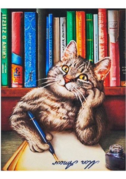 5d Elmas Taş Işleme Kiti 30X40 cm Mektup Yazan Kedi Desen fiyatları