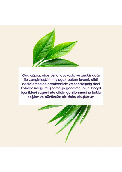 Nasır Kremi modelleri