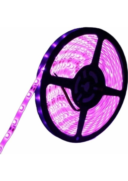 5metre LED Şerit 5050 DC12V Pembe Renkli (60LED/M) IP20 Işık Aydınlatma Lambası Hortum Kendinden Yapışkanlı