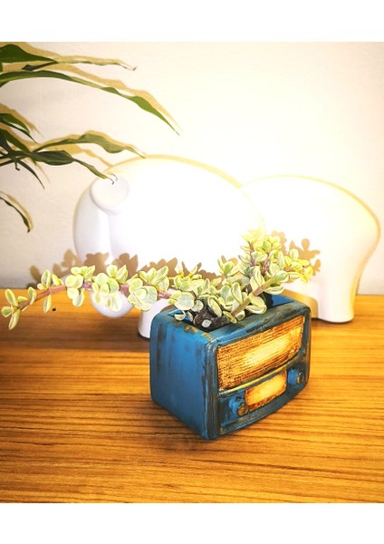 Retro Radyo Sukulent Saksısı ve Kalemlik - Masaüstü Dekoratif Organizer Mavi 12*8 modelleri