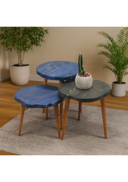 Doğal Ağaç Masif Kütük Yuvarlak 3’ Lü Zigon Sehpa fırsatları