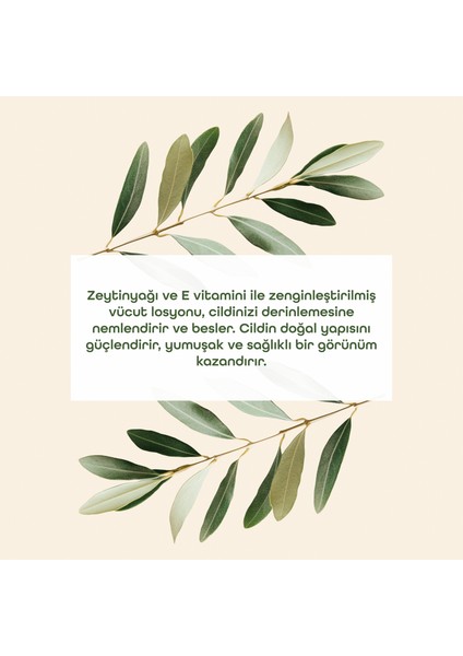 Zeytinyağlı Vücut Losyonu modelleri