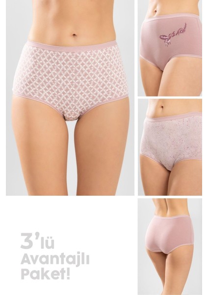 Kadın Yüksek Bel Pamuklu Desenli Bato Külot 3'lü Paket 8280 Consen Renkli