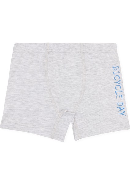 Erkek Çocuk Pamuklu Baskılı Rahat Kesim Likralı Boxer 3'lü Paket 3524 Renkli indirimleri