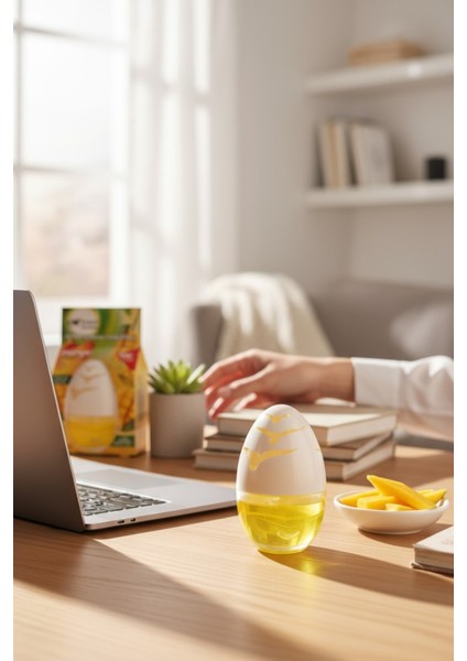 2 Adet Mango Ortam Kokusu 100ML modelleri
