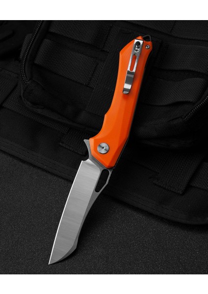 Bestech Platypus BG28B G10 Sap D2 Çelik Çakı fiyatları