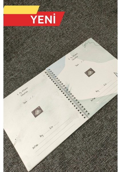 Bebek Anı Defteri, Bebek Güncesi, Hamilelik Planlama modelleri