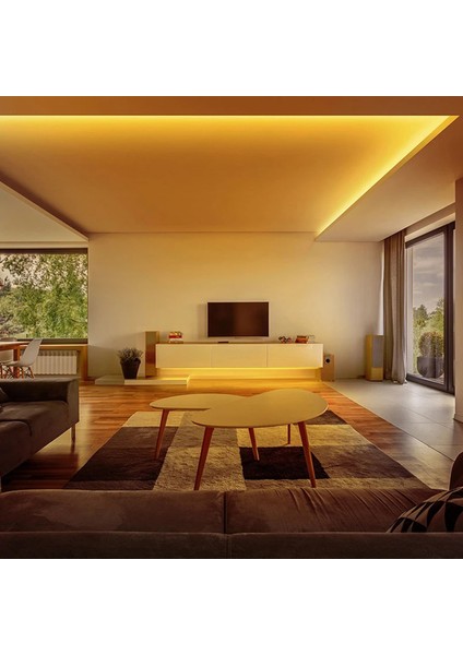 Zigzag Led şerit bant ikinci nesil neon uygun (RGB) 64 renk 10 metre aydınlatma ışık elastik dayanıklı bükülebilir