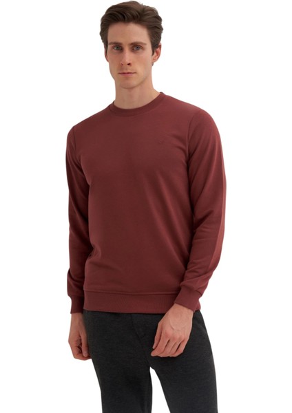 Slim Fit Mevsimlik 3 Iplik Pamuk Karışımlı SWEATSHIRT-56100 fiyatları