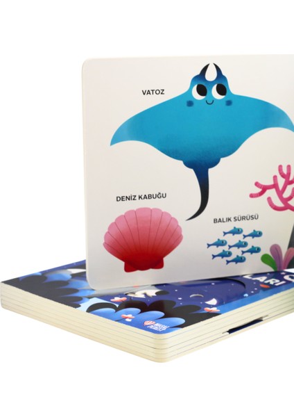 Oynat Keşfet: Denizler (Hareketli Kitap) modelleri