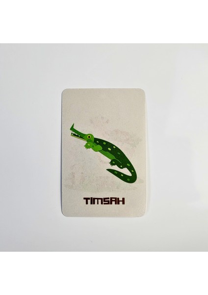 Hayvanları Öğreniyorum Kart Seti modelleri