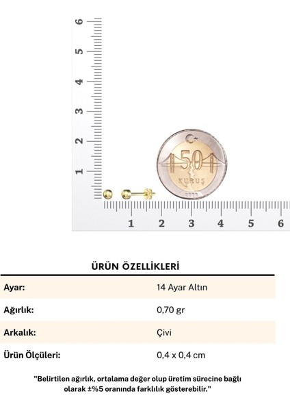 Sade Nokta 14 Ayar Altın Küpe fırsatları