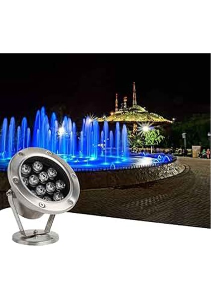 Havuz LED Armatür Aplik Su Geçirmez Açık Alan Aydınlatma Işık Gösterisi Sıva Üstü Krom Kasa Doğal Beyaz 4000K A-KRM-1202 IP68 9W 12V