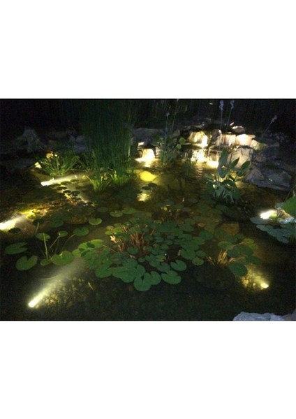 Havuz LED Armatür Aplik Su Geçirmez Açık Alan Aydınlatma Işık Gösterisi Sıva Üstü Krom Kasa Doğal Beyaz 4000K A-KRM-1202 IP68 9W 12V