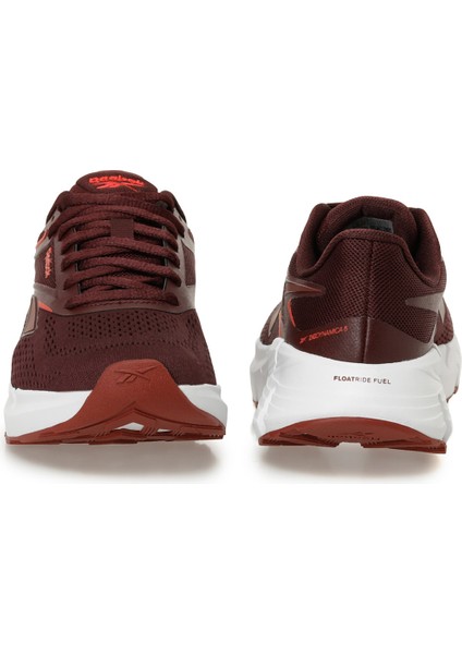 Zıg Dynamıca 6 Vısne Curugu Kadın Koşu Ayakkabısı