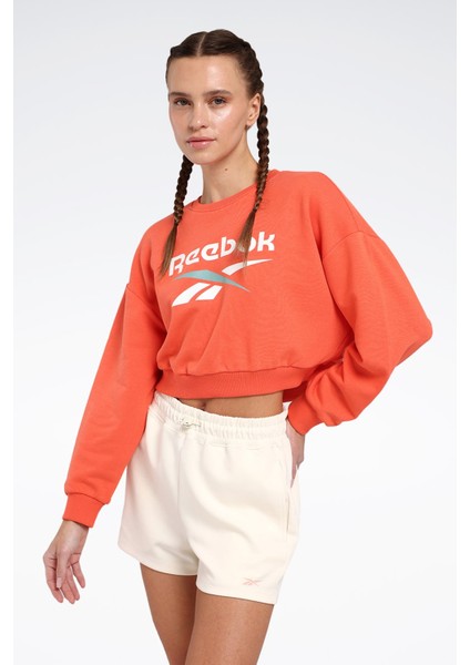 New Id Crp Crew Yavruağzı Kadın Sweatshirt