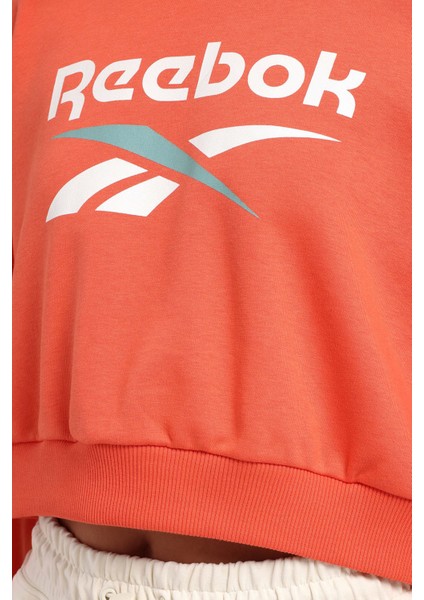 New Id Crp Crew Yavruağzı Kadın Sweatshirt