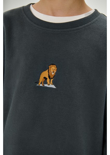 Aslan Supersoft Çocuk Sweatshirt - Antrasit modelleri