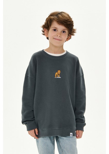 Aslan Supersoft Çocuk Sweatshirt - Antrasit fırsatları