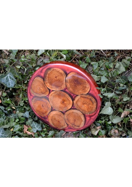 Wood Askania Epoksi Dut Ahşap Sehpa / Sunum Tahtası