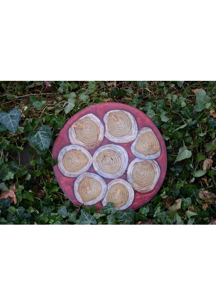 Wood Askania Epoksi Dut Ahşap Sehpa / Sunum Tahtası indirimleri