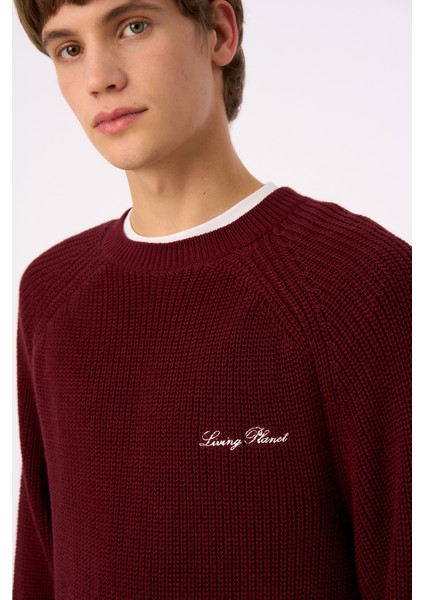 Living Planet Bisiklet Yaka Triko Sweater - Bordo fırsatları