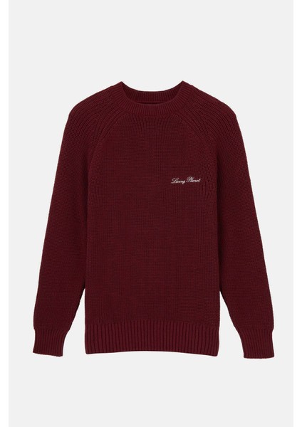 Living Planet Bisiklet Yaka Triko Sweater - Bordo indirimleri
