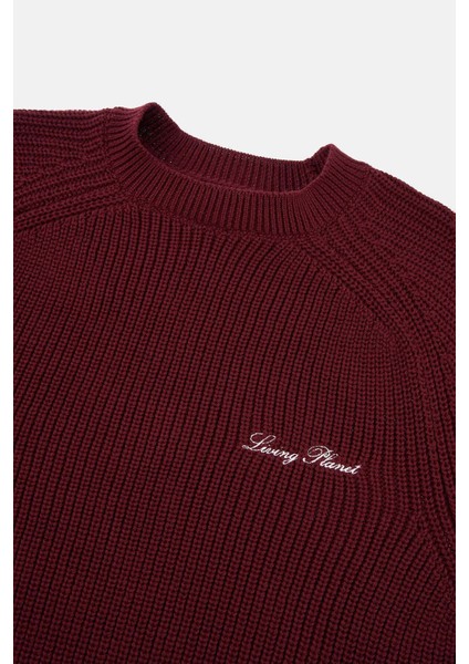 Living Planet Bisiklet Yaka Triko Sweater - Bordo