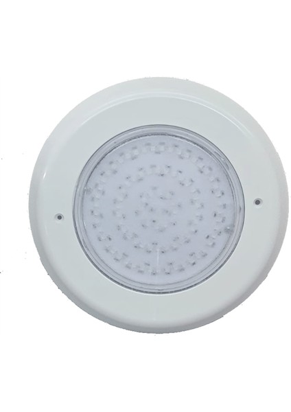 Sıva Altı LED Havuz Aydınlatma Ampülü Lamba Doğal Beyaz 2002 Kasa A-1207 Par-56 30W 12V IP68