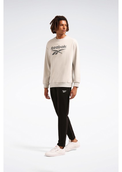 New Id Reg Crew Gri Erkek Sweatshirt