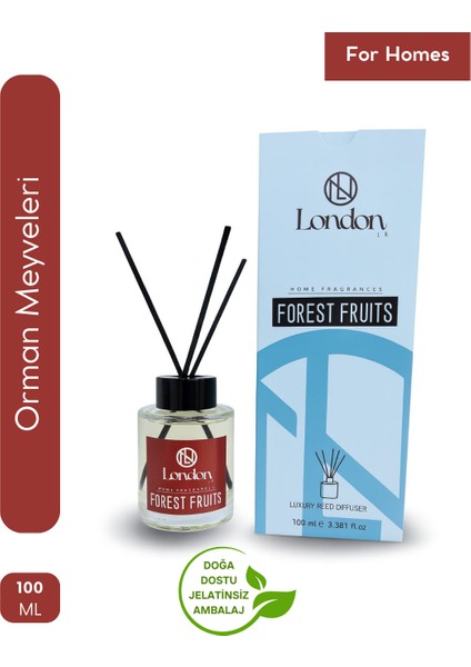 Orman Meyveli Oda Kokusu