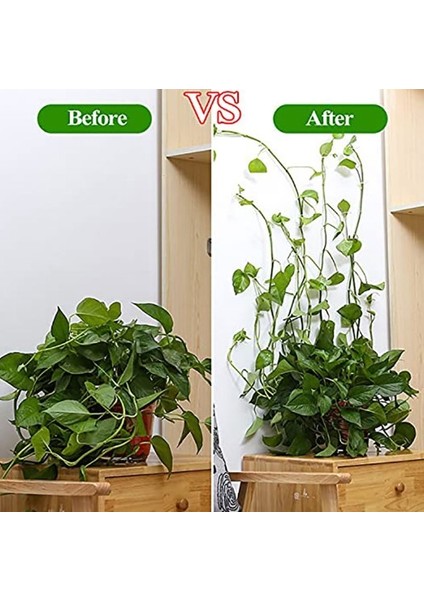 Sarmaşık ve Kablo Düzenleyici Çok Amaçlı Klips 10 Adet fırsatları