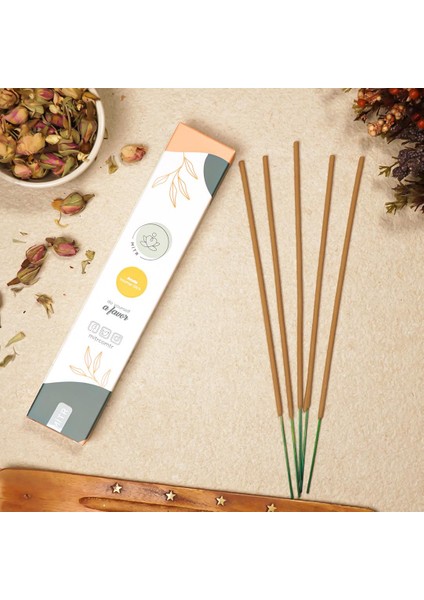 Arruda Aromalı Vedic Çubuk Tütsü