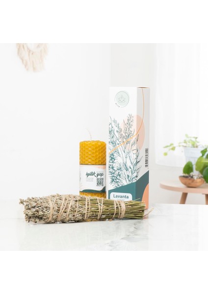 Vashistha Mum & Demet Tütsü Seti modelleri