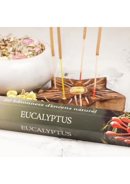 Eucalyptus Çubuk Tütsü fiyatları