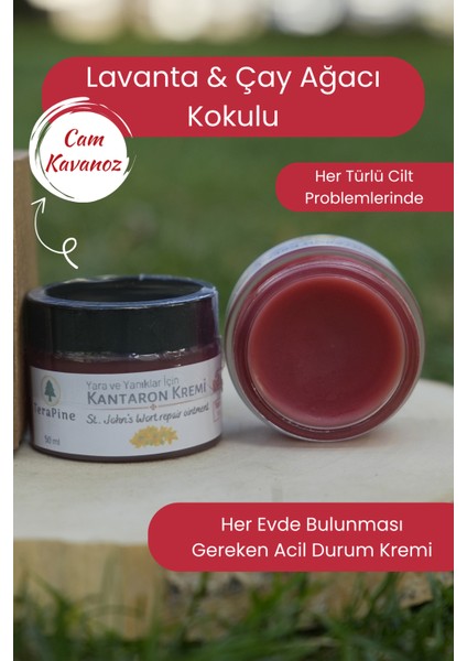 Kantaron Kremi 50ML Yara Ve Yanık Kremi, 9 Bitkisel Yağ, Iz Kalmasını Önler, Egzama fiyatları