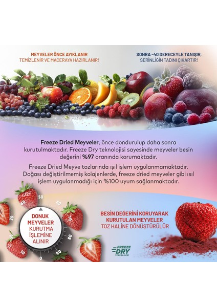 Beauty Blend 100 G, Dondurularak Kurutulmuş Meyve Tozu, Kolajen, Inülin, Yüksek Lif, Manganez