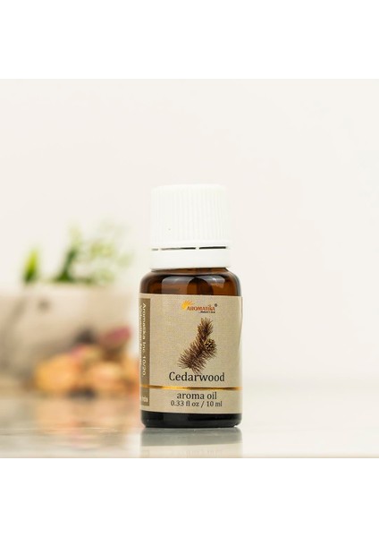 Sedir Ağacı Buhurdanlık Kokusu