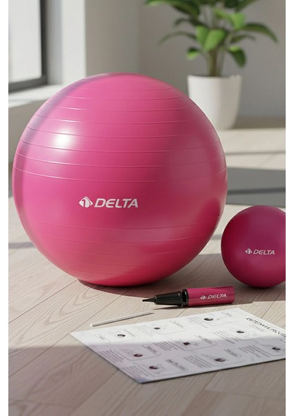 65 cm Pilates Topu Şişirme Pompası ve 20 cm Denge Topu Seti Egzersiz Topu 65CM Plates Seti Fuşya modelleri