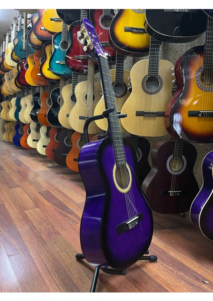 Mor 4/4 Tam Boy Klasik Gitar Kılıf Pena Dahil fiyatları